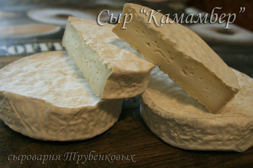 Формы для сыра камамбер своими руками 55
