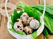 Farmers’ products. Quail eggs