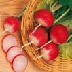 Полезные продукты. Редис